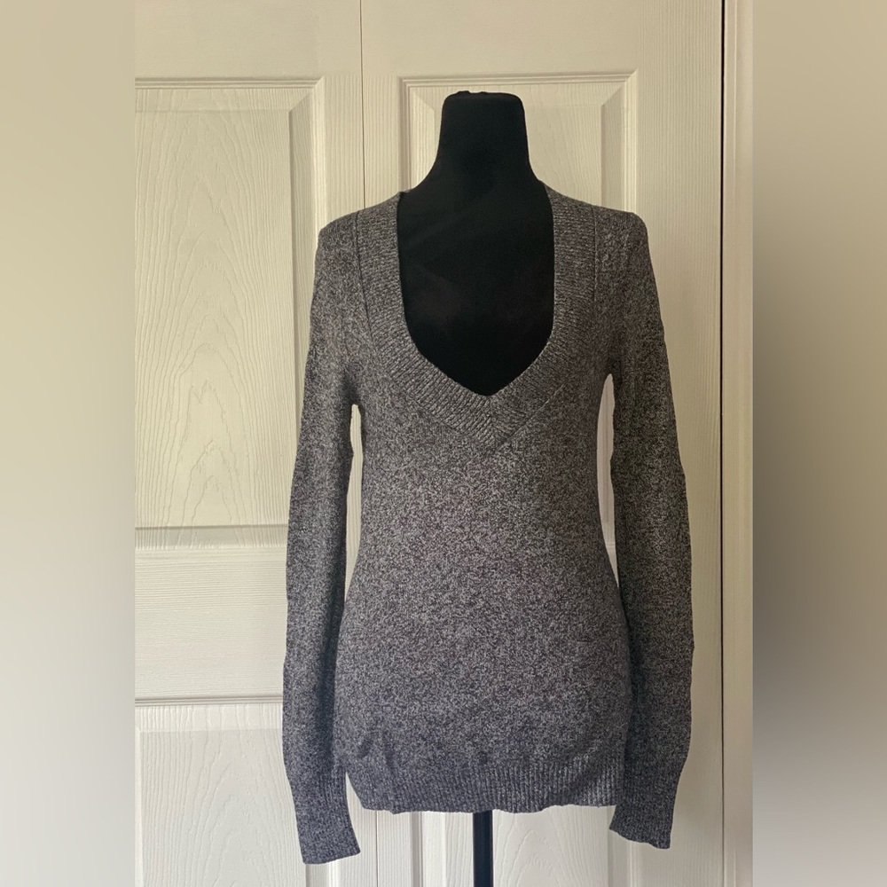 Express Women Fitted V-Neck Sweater
